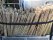 Bild 2 von 5 - Tonkinstäbe 500 St. 1,20 m 10-12 mm Bambusstäbe Rankhilfe Pflanzstäbe