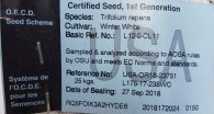 Bild 2 von 3 - Weißklee 25 kg Zertifiziertes Saatgut Reinsaat Wildacker Mischungen Grünland