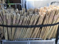 Bild 2 von 5 - Tonkinstäbe 100 St. 1,20 m 10-12 mm Bambusstäbe Rankhilfe Pflanzstäbe