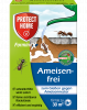 Protect Home Forminex 125 ml (früher Bayer Blattanex Ameisenfrei)
